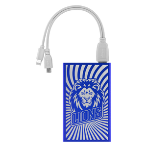 Lions Power Bank